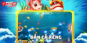 Bắn Cá Xèng - Trải nghiệm săn thưởng đỉnh cao tại Miso88
