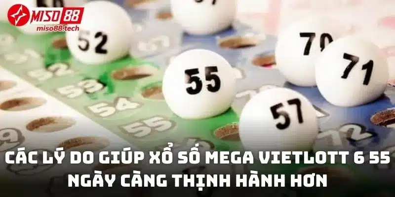 Các lý do giúp xổ số Mega Vietlott 6 55 ngày càng thịnh hành hơn