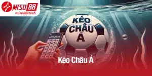 Cách Đọc Kèo Châu Á Chuẩn Xác Và Mẹo Cược 100% Thắng