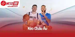 Kèo Châu Âu - Khám Phá Cách Cược Hiệu Quả Tại Miso88