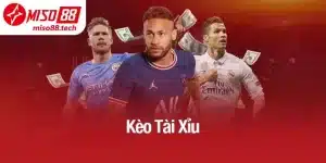 Đọc Kèo Tài Xỉu Chuẩn Xác Trong Bóng Đá Tại Miso88