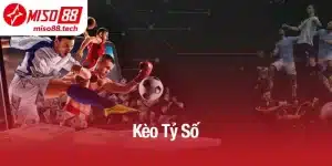 Kèo Tỷ Số - Miso88 Dự Đoán Và Phân Tích Chính Xác