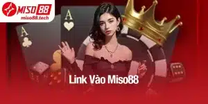 Link Vào Miso88 - Không Lo Bị Chặn, Cực Nhanh Và An Toàn