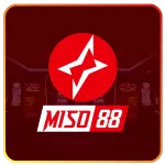 Miso88