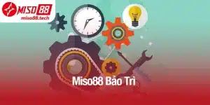 Miso88 Bảo Trì - Cải Tiến Dịch Vụ Và Trải Nghiệm Người Chơi