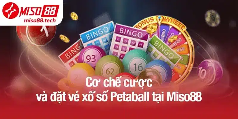 Cơ chế cược và đặt vé xổ số Petaball tại Miso88